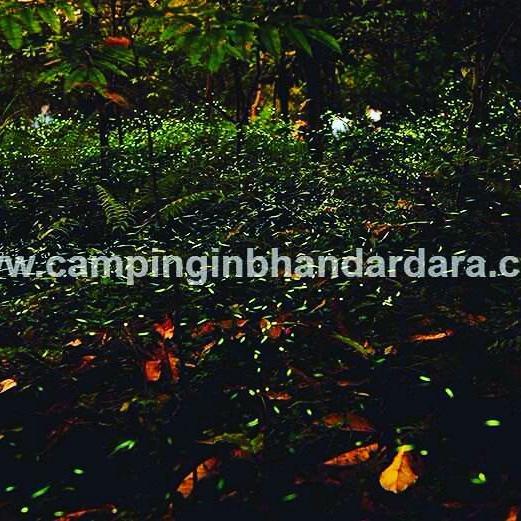Hotel Samadhan Bhandardara Esterno foto